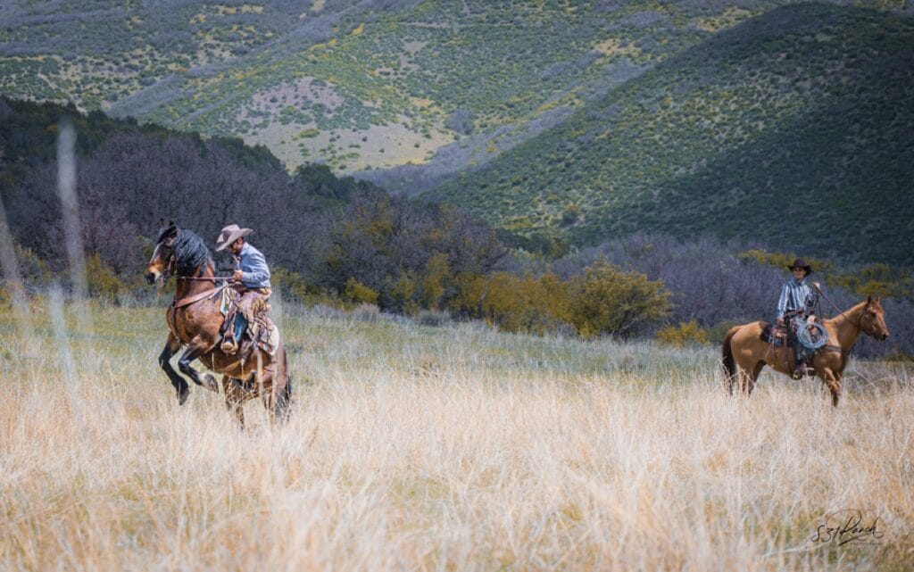 Farming and Ranching in the American West