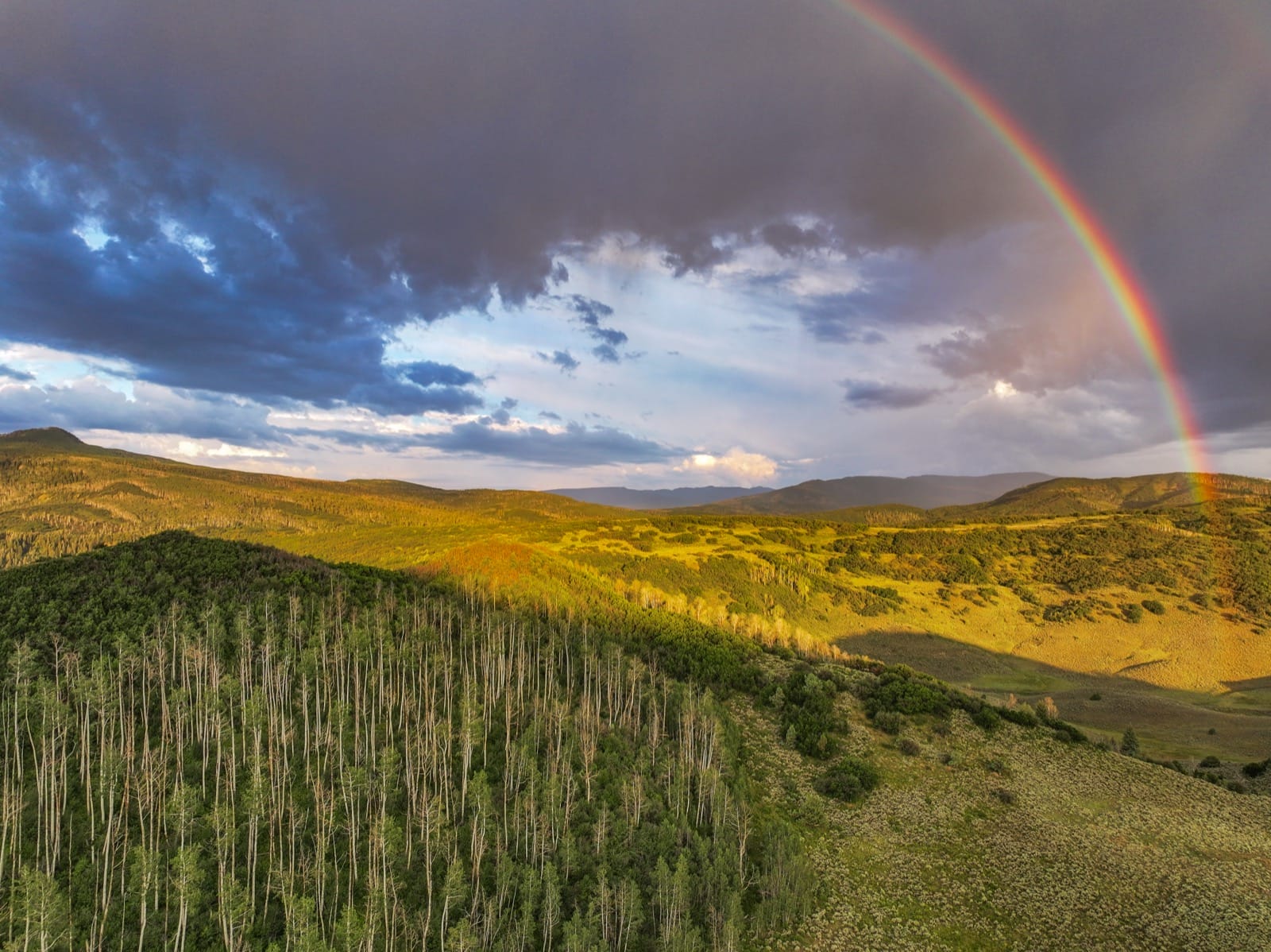 Ranchland: The Inflation-Resistant Asset That Builds Wealth and Legacy