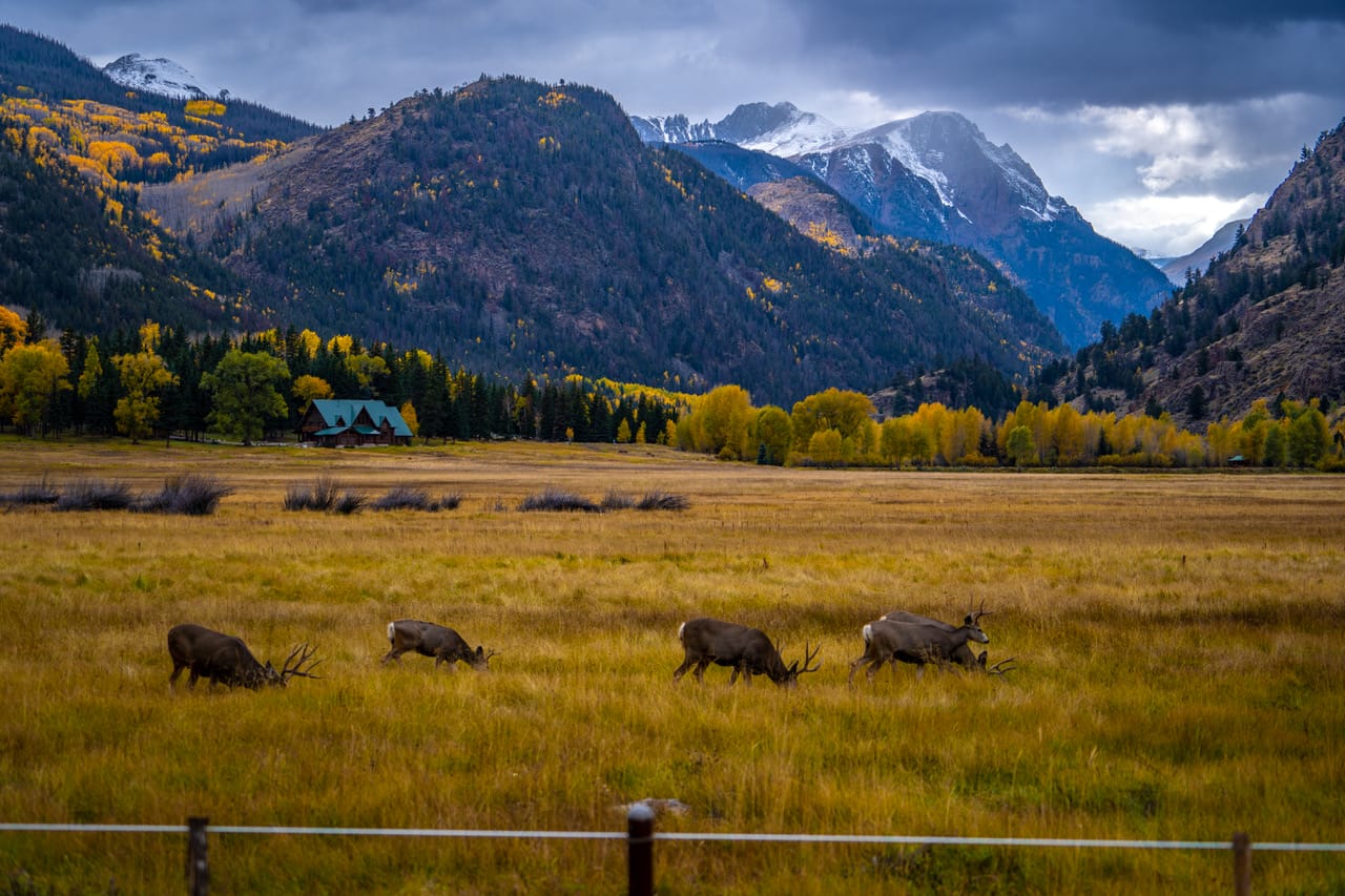 Land Conservation | Colorado and the American West
