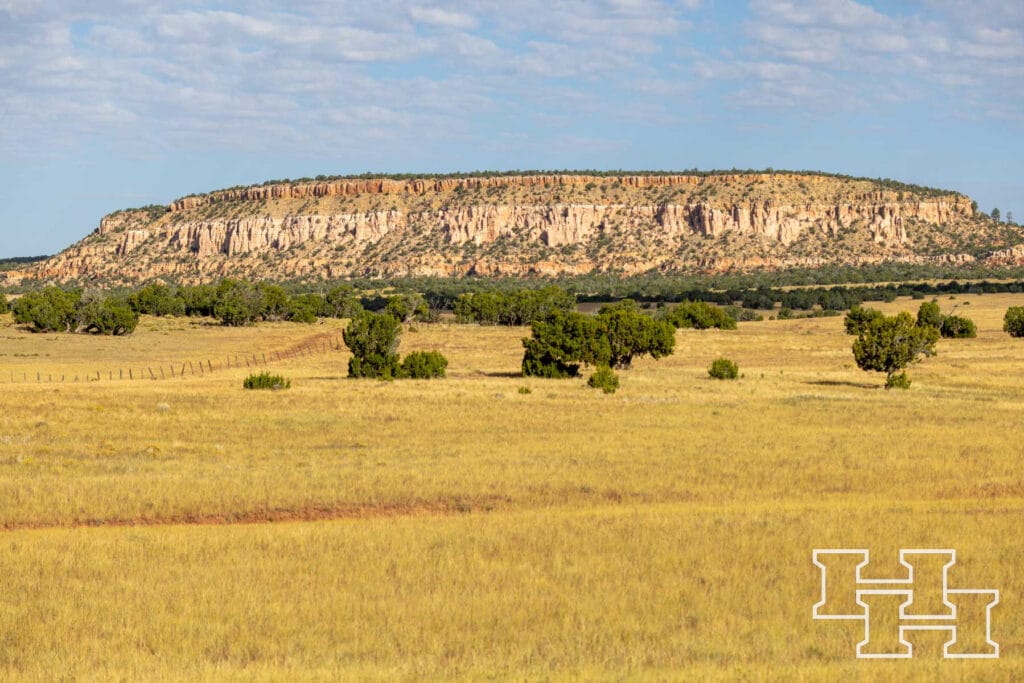 Atarque Ranch — M4 Ranch Group