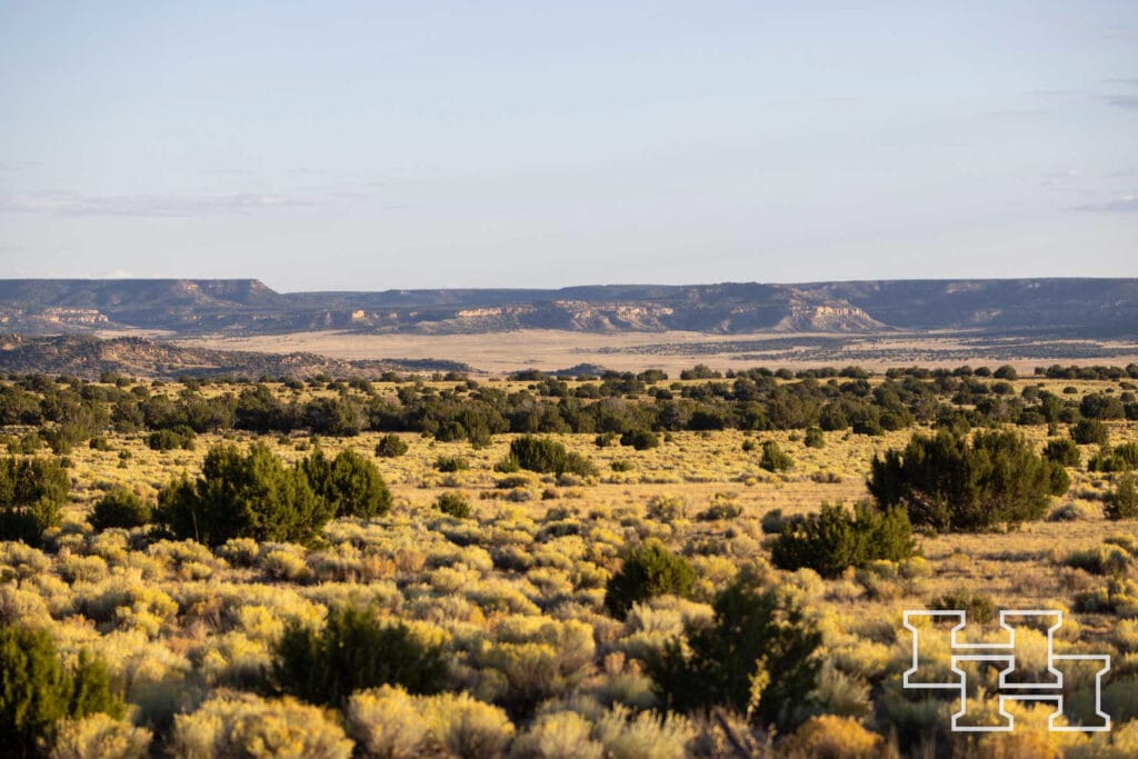 Atarque Ranch — M4 Ranch Group