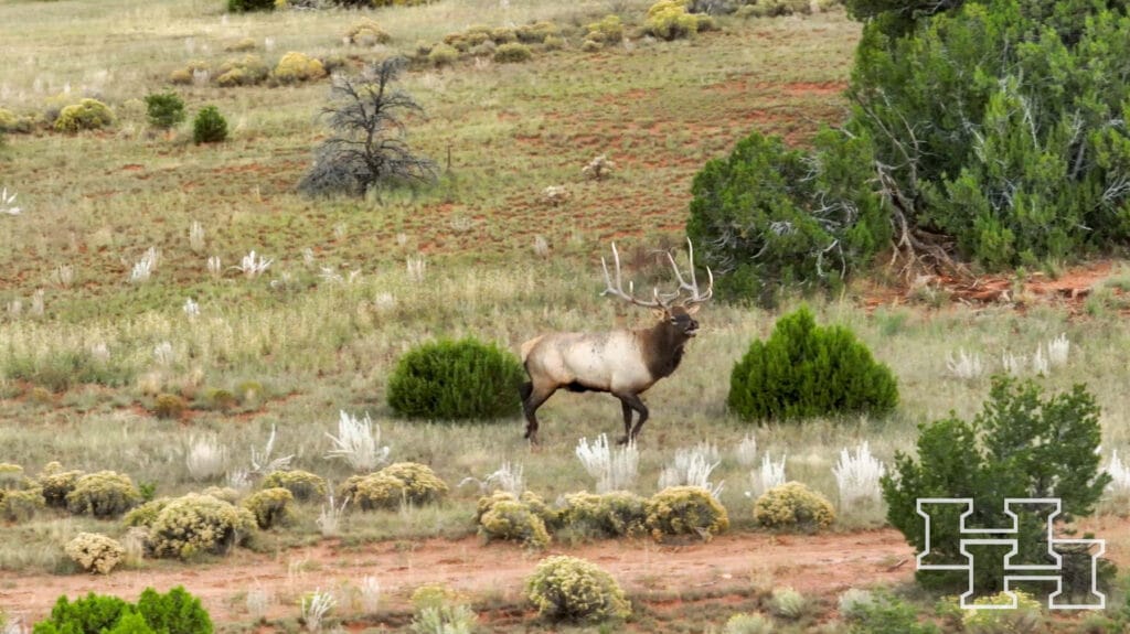 Atarque Ranch — M4 Ranch Group