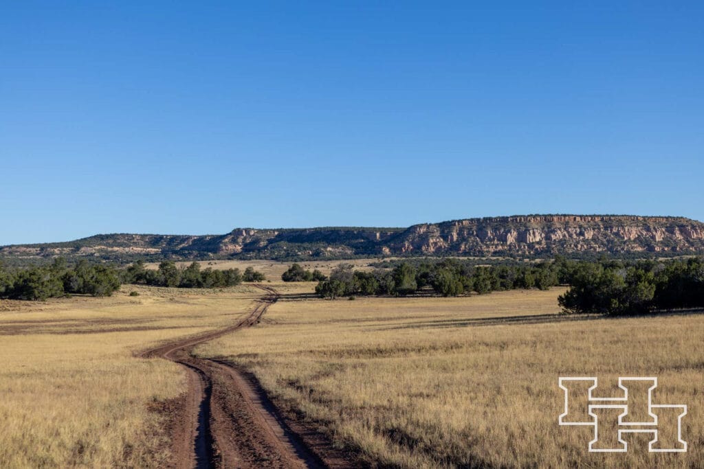 Atarque Ranch — M4 Ranch Group