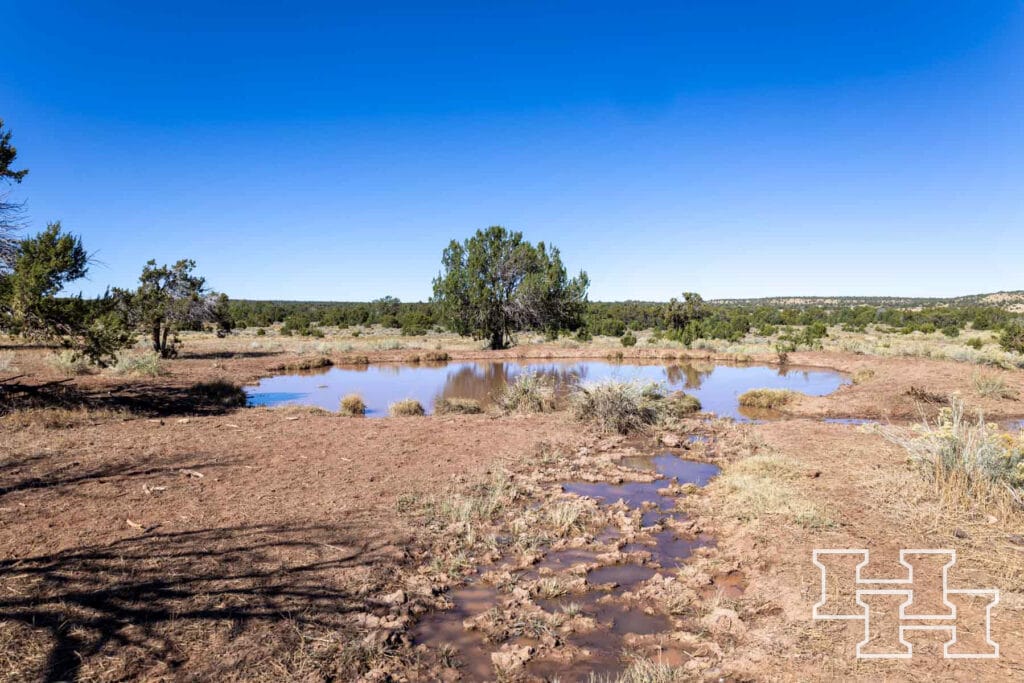 Atarque Ranch — M4 Ranch Group