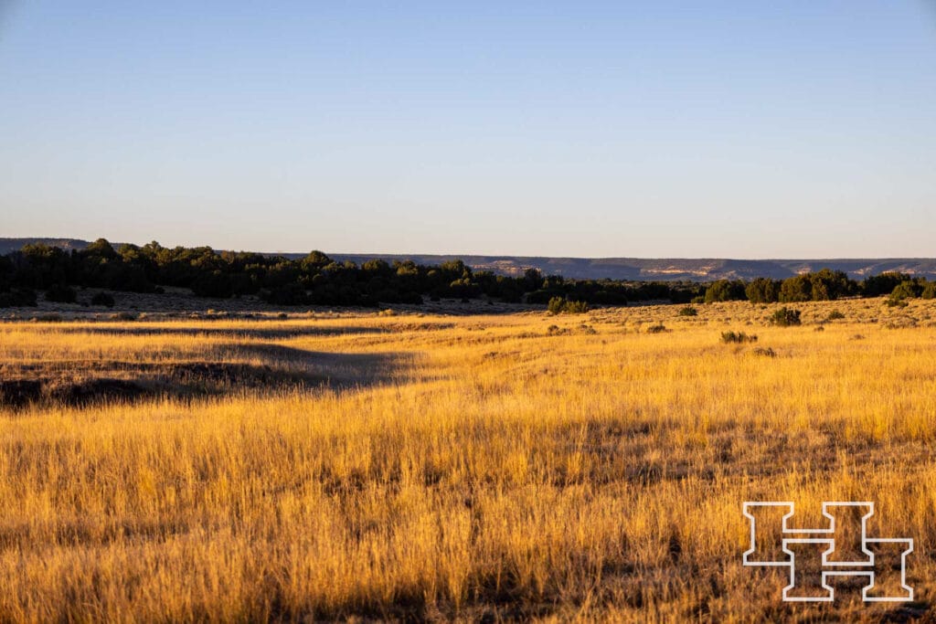 Atarque Ranch — M4 Ranch Group