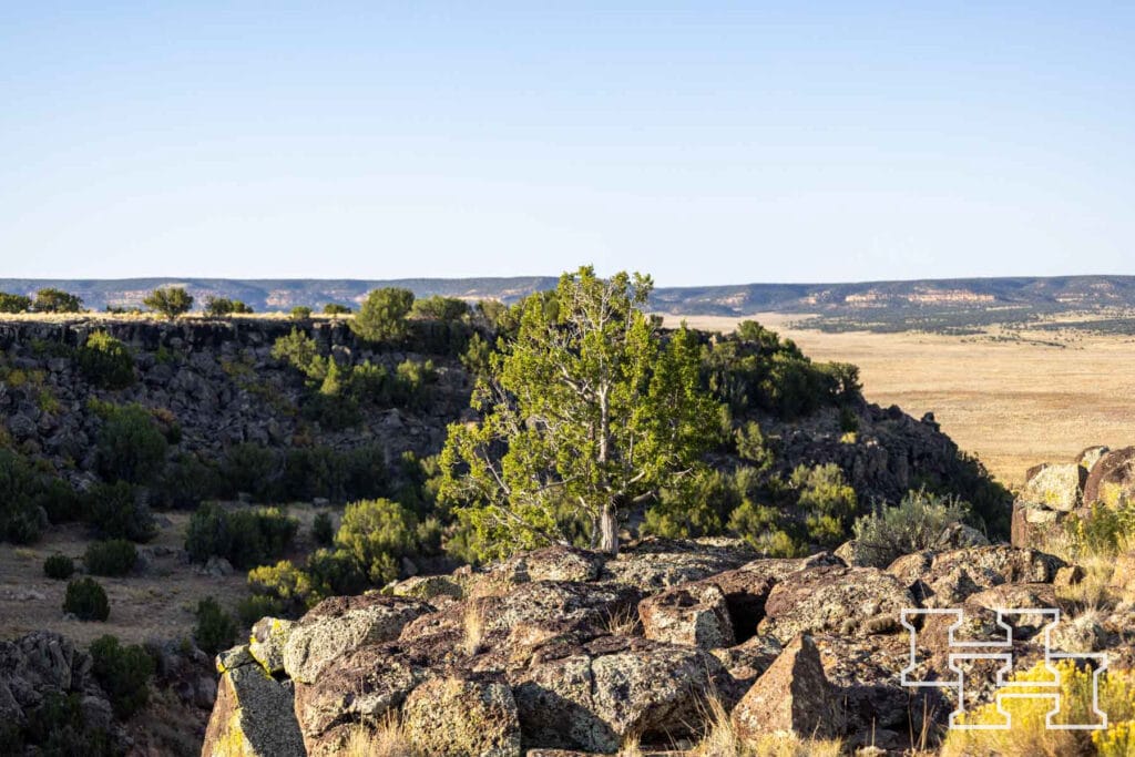 Atarque Ranch — M4 Ranch Group