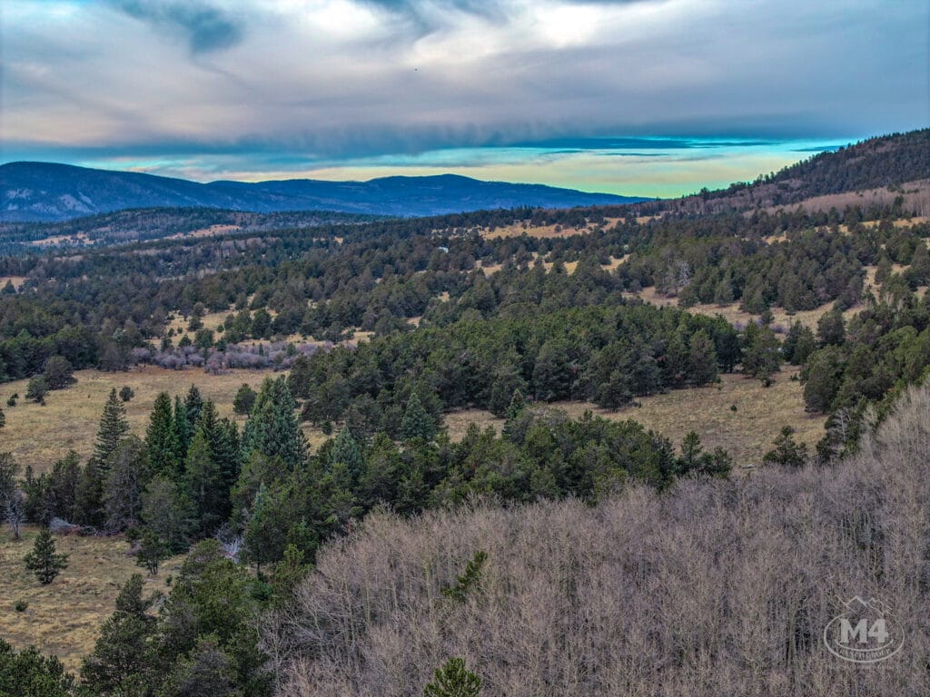 Black Lake Angel Fire Ranch For Sale New Mexico | M4 Ranch Group