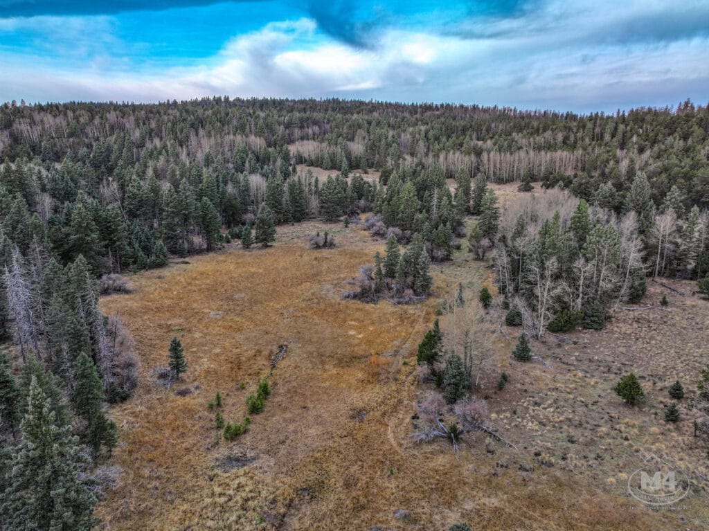 Black Lake Angel Fire Ranch For Sale New Mexico | M4 Ranch Group