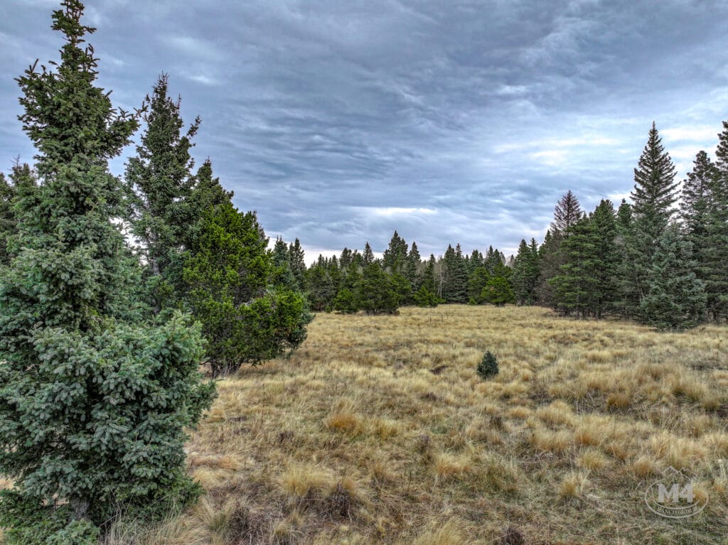 Black Lake Angel Fire Ranch For Sale New Mexico | M4 Ranch Group