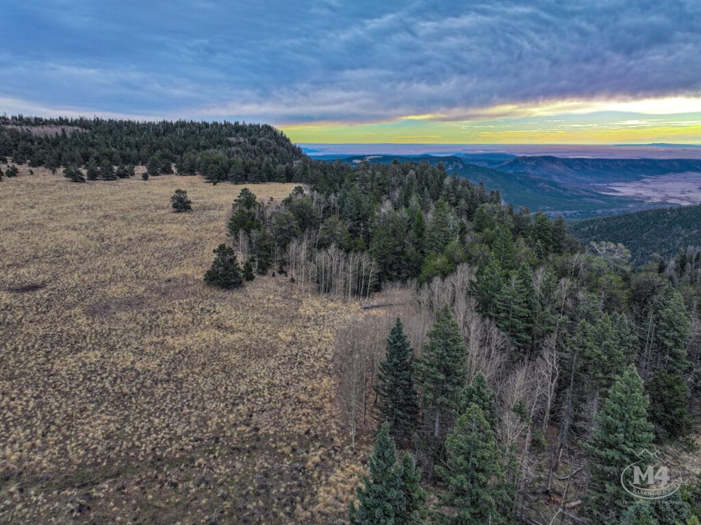 Black Lake Angel Fire Ranch For Sale New Mexico | M4 Ranch Group