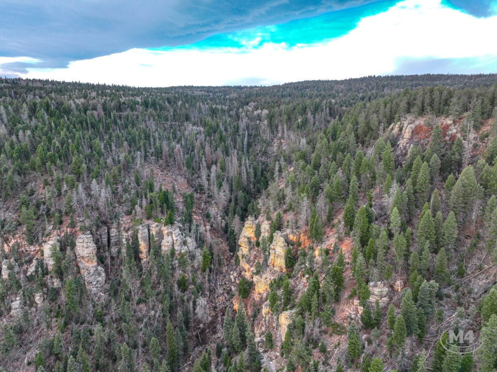 Black Lake Angel Fire Ranch For Sale New Mexico | M4 Ranch Group