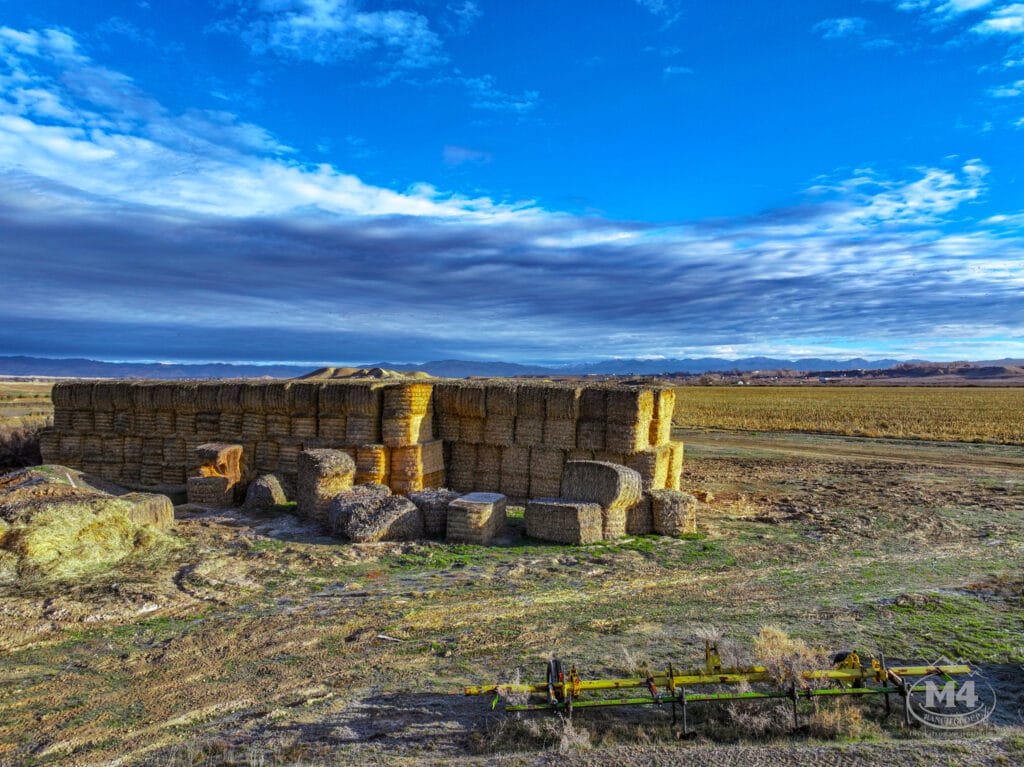 Black Sky Ranch For Sale | Colorado Hunting Ranch | M4 Ranch Group
